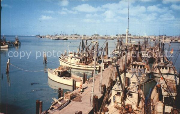 Key West Shrimp Boats Harbor