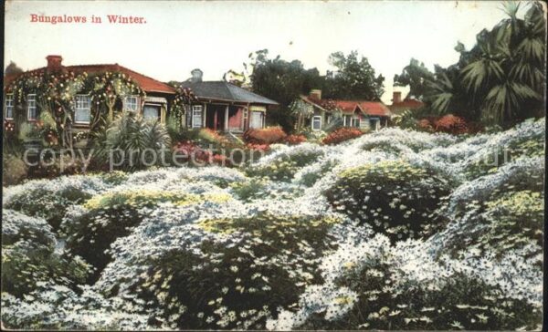 Los Angeles California Bungalows in Winter