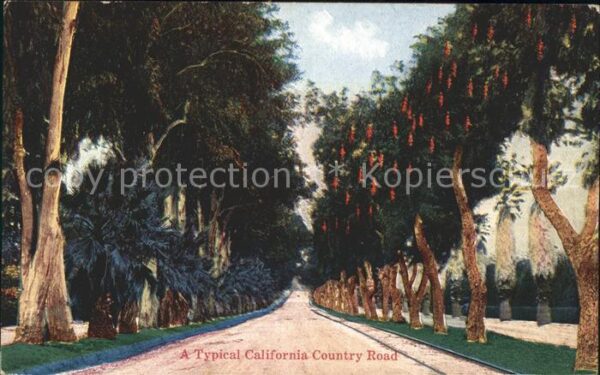 Stockton California Typical California Country Troad