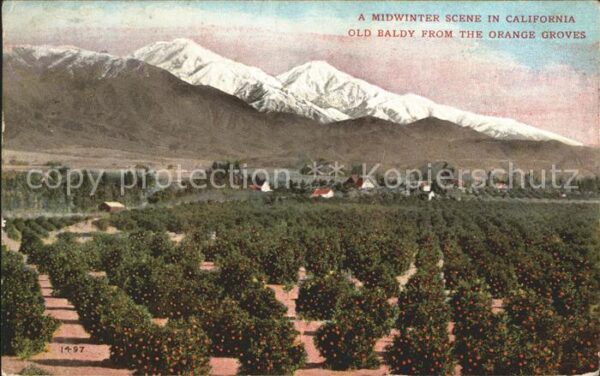 Los Angeles California Midwinter Scene Old Baldly from the Ora
