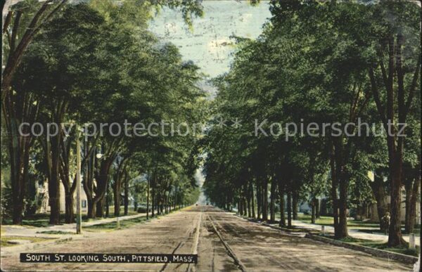 Pittsfield Massachusetts South Street Avenue of trees