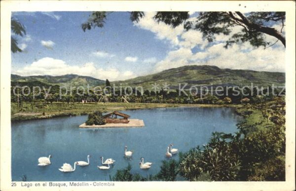Medellin Lago en el Bosque Schwan