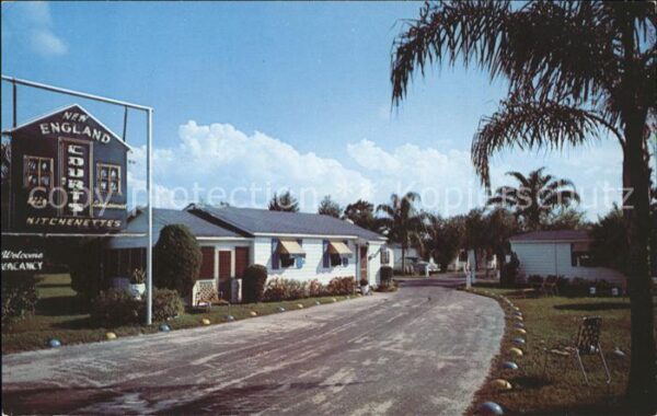 Tampa Florida New England Courts