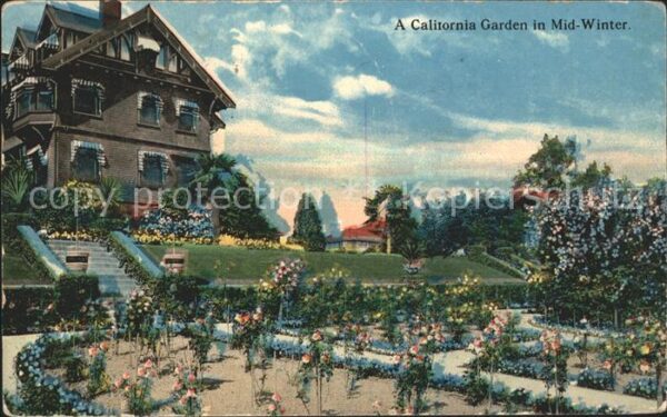 Los Angeles California A California Garden in Mid Winter