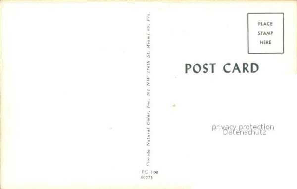Florida US-State – Bild 2