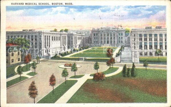 Boston Massachusetts Harvard Medical School Illustration