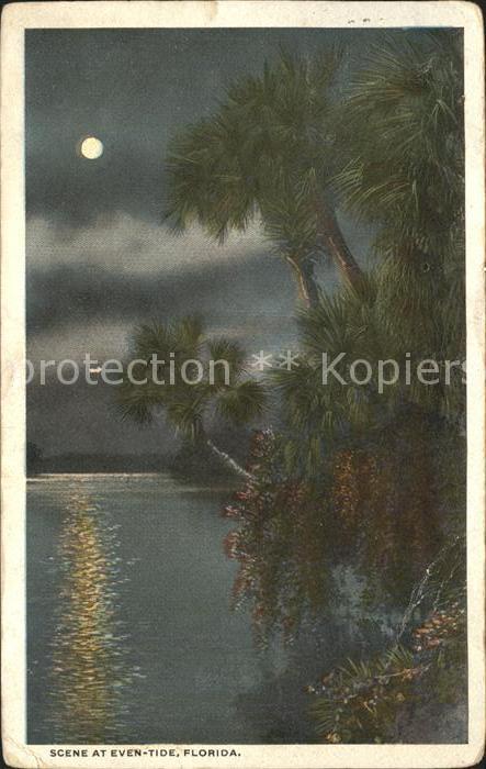 Florida US-State Scene at Even Tide moonlight