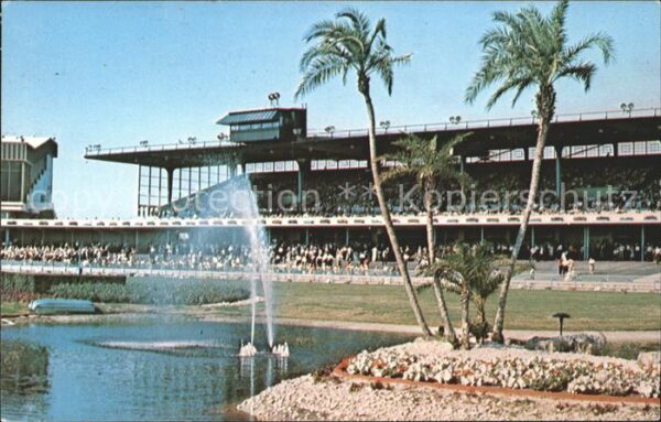 Saint Petersburg Florida Derby Lane Home of World Champion Greyh
