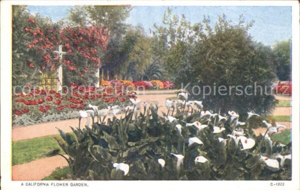 San Francisco California Flower Garden