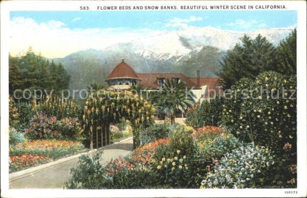 Los Angeles California Flower Beds and Snow Banks Winter Scene