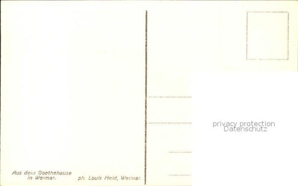 Goethe Johann Wolfgang von August v. Goethe 1828 Künstler Grünler – Bild 2