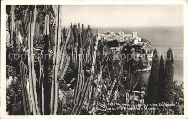 Monaco 1435 Jardins Exotiques Rocher Monaco