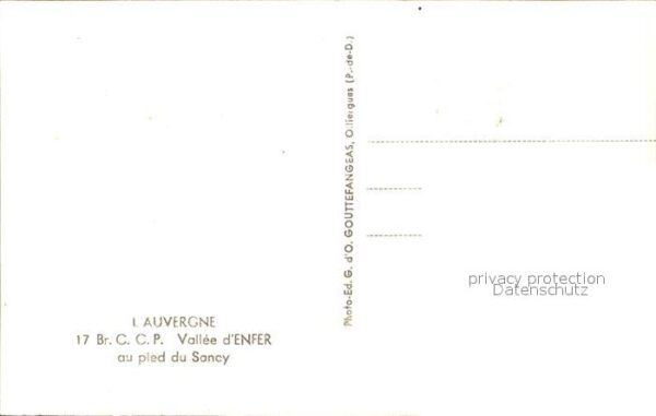 Kuehe Auvergne Vallee d_Enfer Sancy – Bild 2