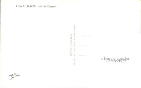 Storch Alsace Nid de Cigognes – Bild 2