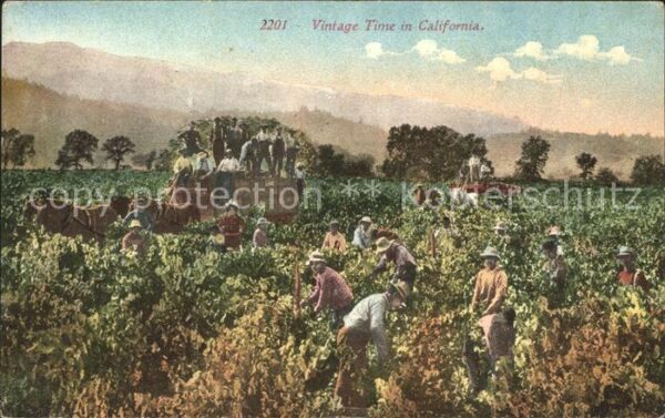 Ernte Landwirtschaft Vintage Time California
