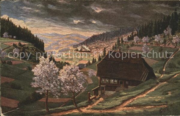 Simon A. Frühling im Schwarzwald Nußbachtal