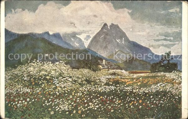 Kuenstlerkarte Carl Reiser Frühsommerpracht im Werdenf