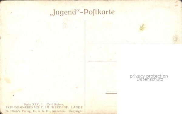 Kuenstlerkarte Carl Reiser Frühsommerpracht im Werdenf – Bild 2