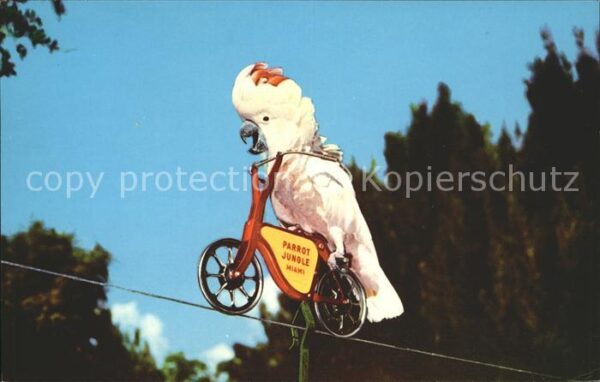 Voegel Kakadu Fahrrad Parrot Jungle Miami