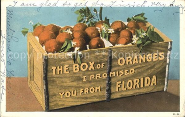 Orangen Oranges Florida