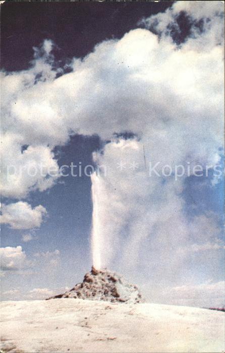 Geysire Vulcans Geysers Vulkane White Dome Geyser Yellowstone National