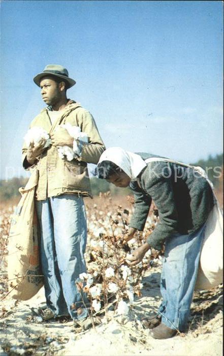 Baumwollpfluecker Cotton Pickers