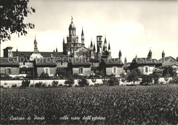 Certosa Di Pavia Le celle