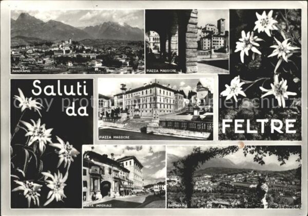 Feltre Piazza Maggiore Porta Imperiale Edelwei