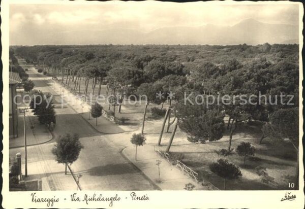 Viareggio Via Michelangelo Pineta