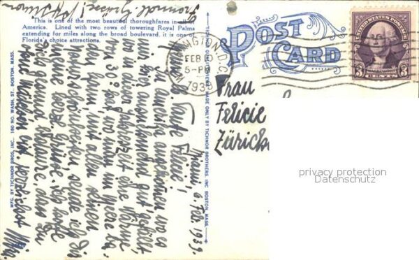 Florida US-State Stately Royal Palms – Bild 2