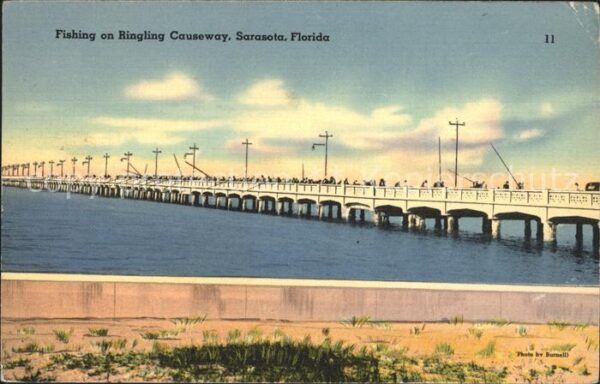 Sarasota Fishing and Ringling Causeway