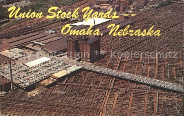 Omaha Nebraska Union Stock Yards Worlds Leading Cattle
