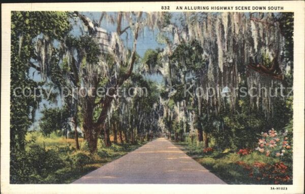 Summerville South Carolina Alluring Highway Scene down South