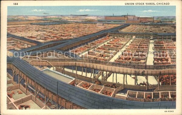 Chicago Illinois Union Stock Yards