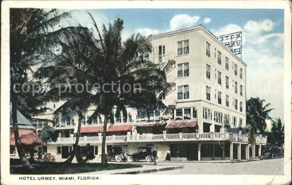 Miami Florida Hotel Urmey Palm Tree
