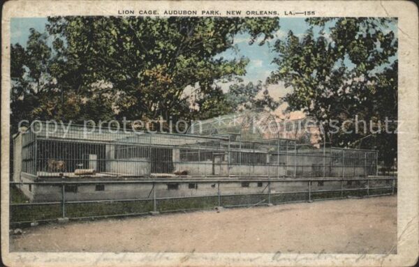 New Orleans Louisiana Zoo in Audubon Park Lion Cage
