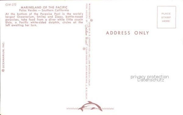 Delfine Delphine Dolphins Dauphins Delfi Marineland of the Pacific Palos Verdes – Bild 2