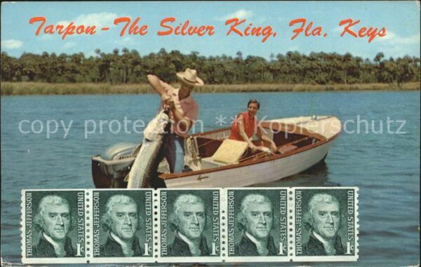 Fische Tarpon angeln fischen Boot Florida Keys