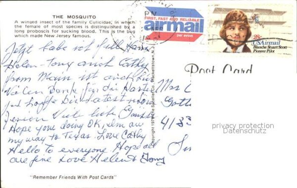 Insekten Mosquito New Jersey Air Force – Bild 2