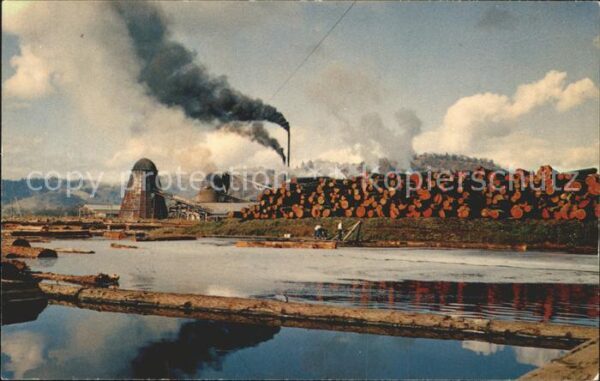 Saegemuehle Log Pond Sawmill
