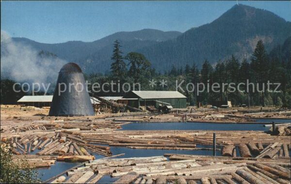 Saegemuehle Sawmill Log Pond