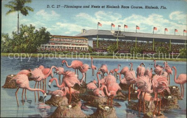 Flamingo Nest Hialeah Race Course