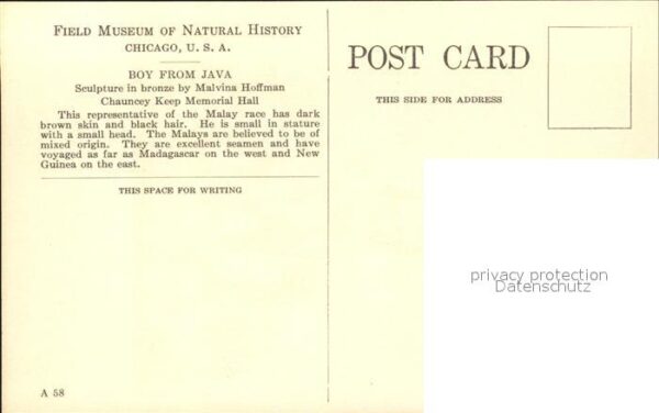 Skulpturen Boy from Java Malay Archipelago Field M – Bild 2