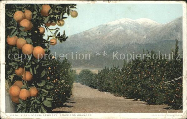Orangen Oranges California Anomaly Snow and Oranges