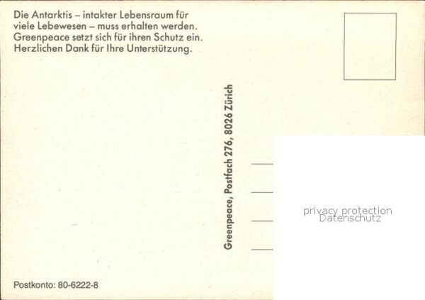 Pinguin Antarktis – Bild 2