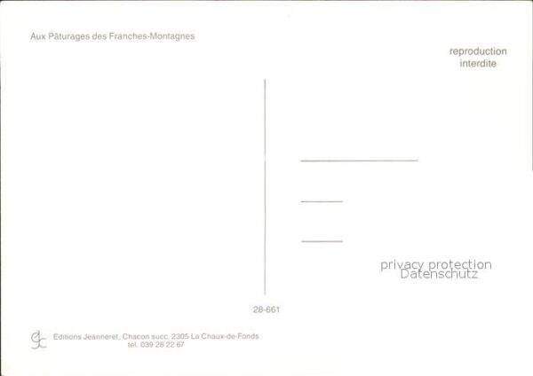 Pferde Franches-Montagnes – Bild 2