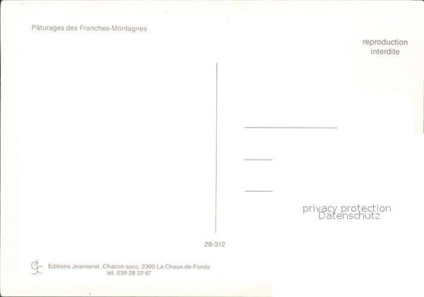Pferde Franches-Montagnes – Bild 2