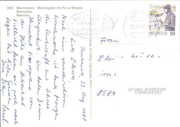 Murmeltier Oberengadin Piz La Margna – Bild 2