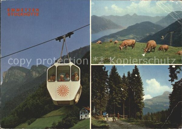 Seilbahn Emmetten-Stockhütte Kühe