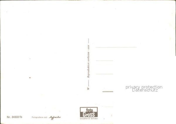 Kuehe Trachten – Bild 2